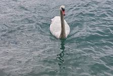 2018-07 Attersee Dixi